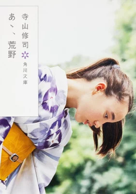 『あゝ、荒野』の表紙